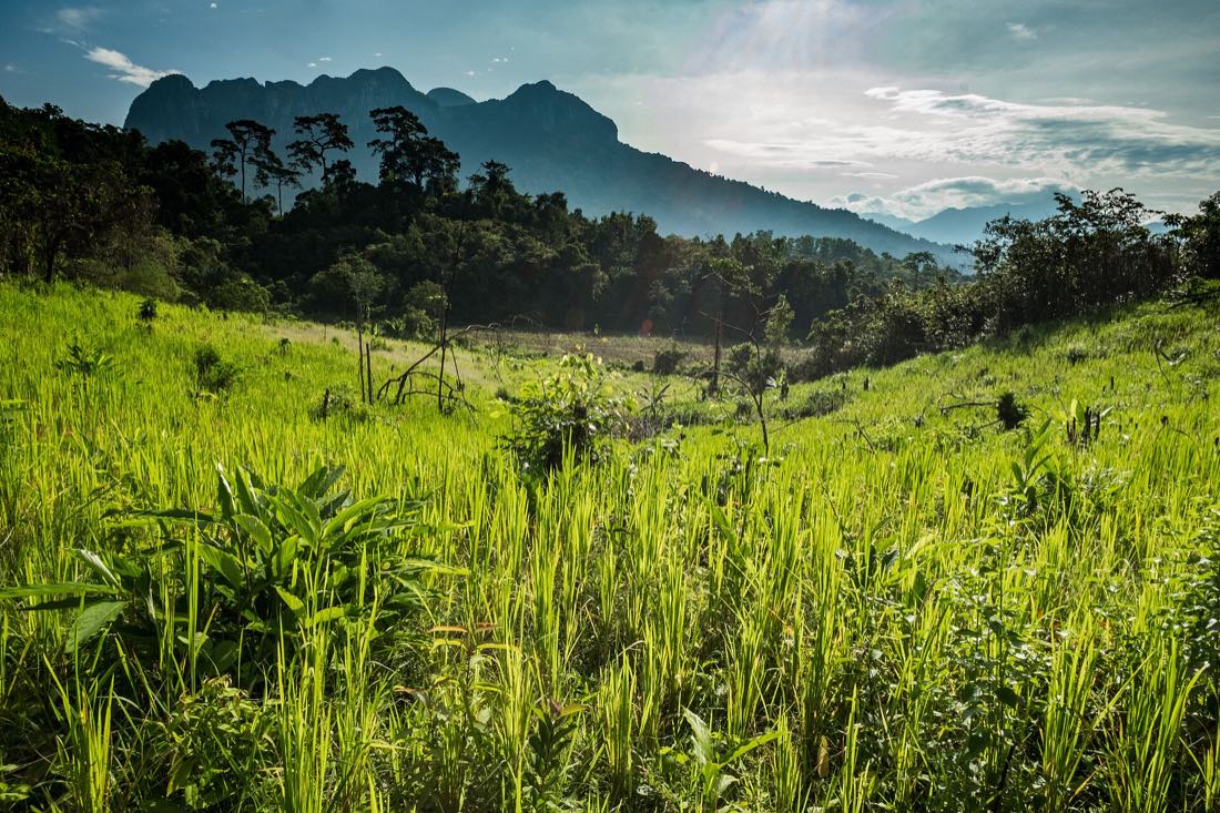 Green hills and grassland in central Palawan